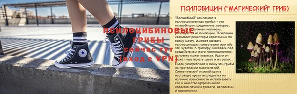мдпв Вязьма