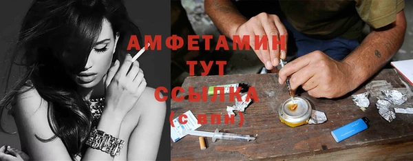 скорость Вяземский