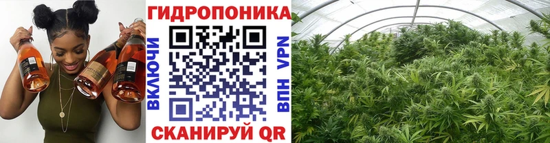 Купить где  Куса  Канабис MAZAR 